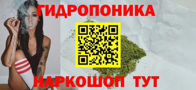 эйфоретик Шахты