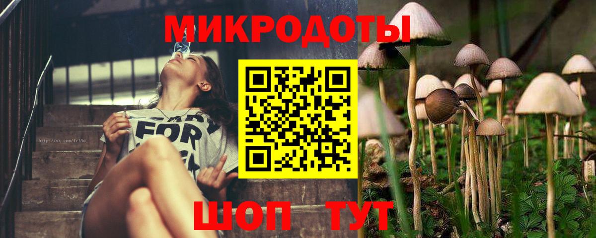 Галлюциногенные грибы мицелий Верхний Уфалей